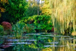 Cancer Services - Cancer Support - Support Groups - Relaxation and Visualisation - Introduction Cancer Services - Cancer Support - Support Groups - Relaxation and Visualisation - Introduction